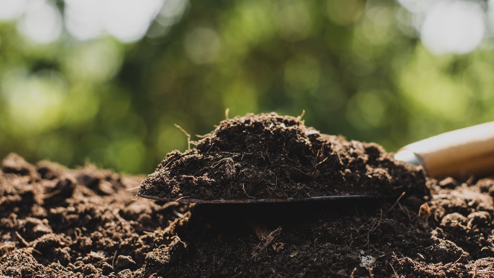 A close-up of a mound of dark, fine-textured humus resting on a metal spade, with rich black material indicating a high level of organic matter. The blurred green background includes lush foliage, giving a sense of natural, fertile surroundings.