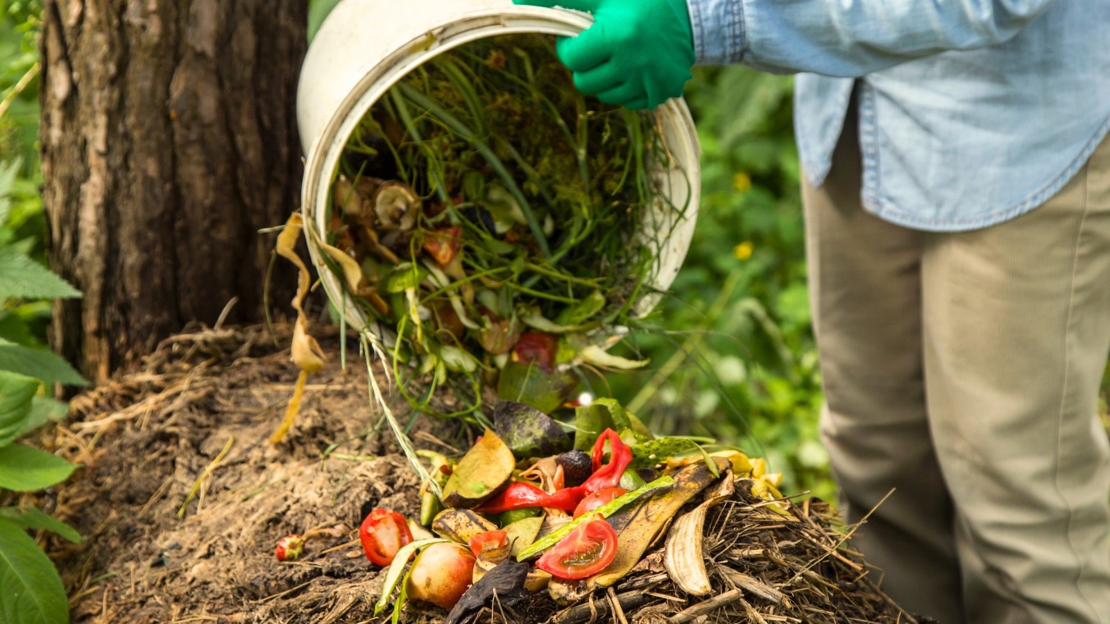 Close-up of a female gardener in green gloves pouring kitchen scraps from a white bucket into a pile of organic matter in the garden.