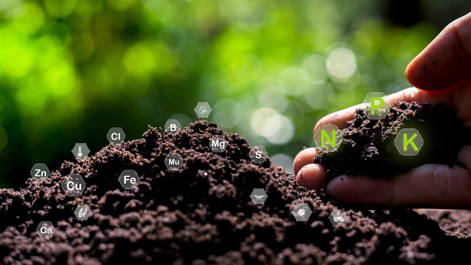 A hand cradles a small clump of dark, rich soil, lifted from a larger mound of earth.