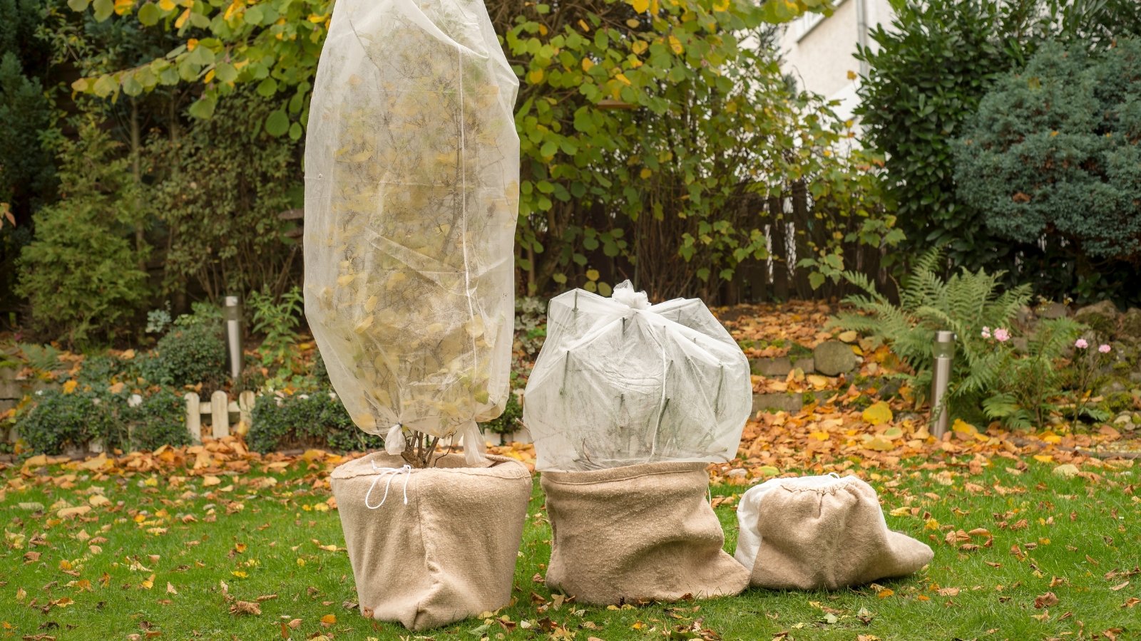 9 Clever Strategies to Insulate Your Potted Crops in Chilly Local weather