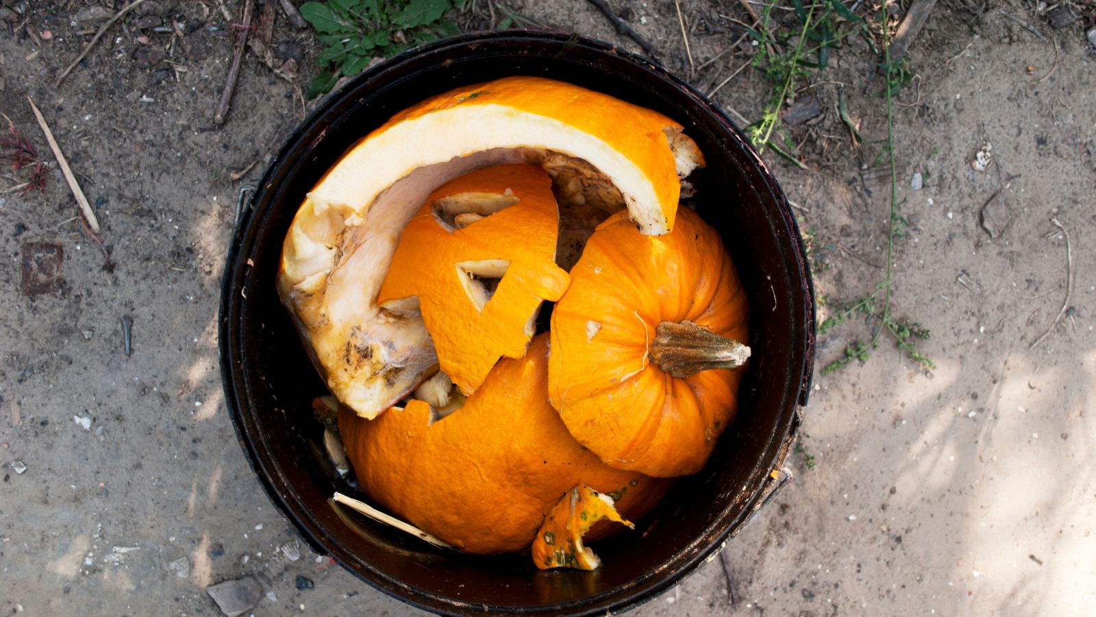 The appropriate solution to Compost Your Halloween Pumpkins