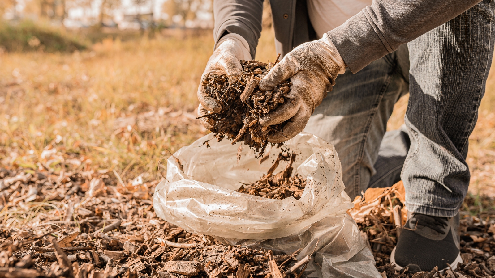 A person wearing gloves, putting organic mulch into a plastic bag.