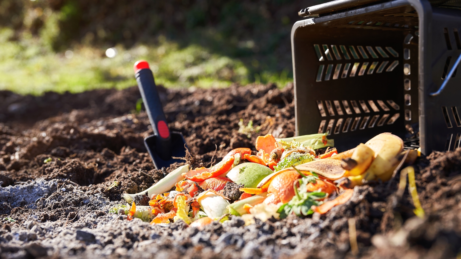 Homemade pile of organic matter. Close-up of kitchen scraps lying on the soil in a sunny garden. There is also a plastic bin and a small plastic shovel on the soil. Kitchen scraps consist of vegetable scraps, vegetable and fruit peels, herbs and others.