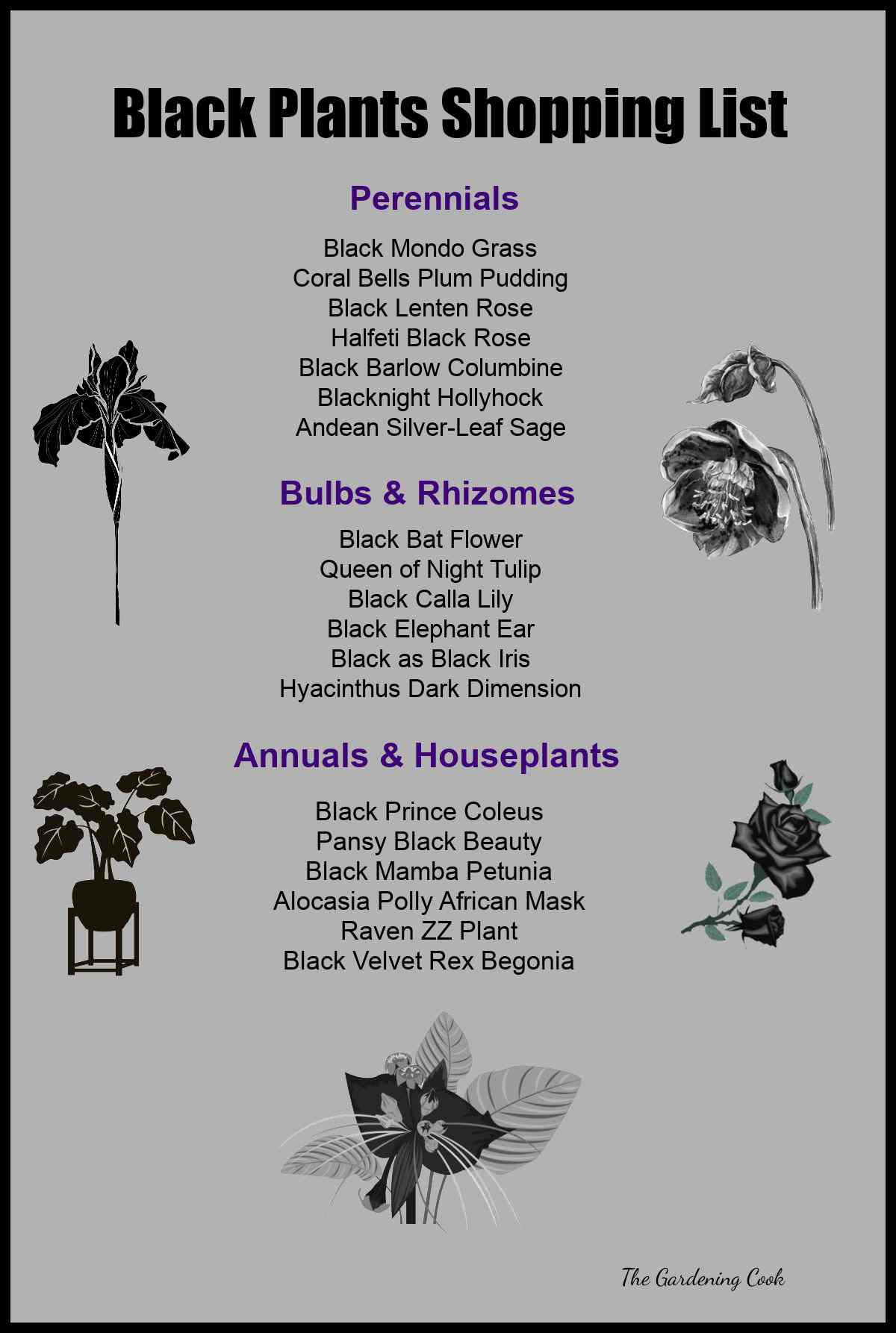 List of perennials, bulbs and houseplants and words Black Plants Shopping List.