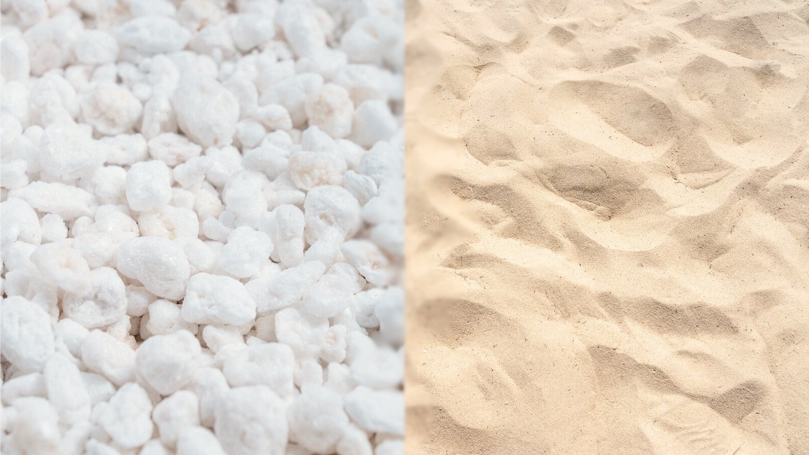 Perlite Vs. Sand: The Most interesting Technique to Improve Soil Drainage